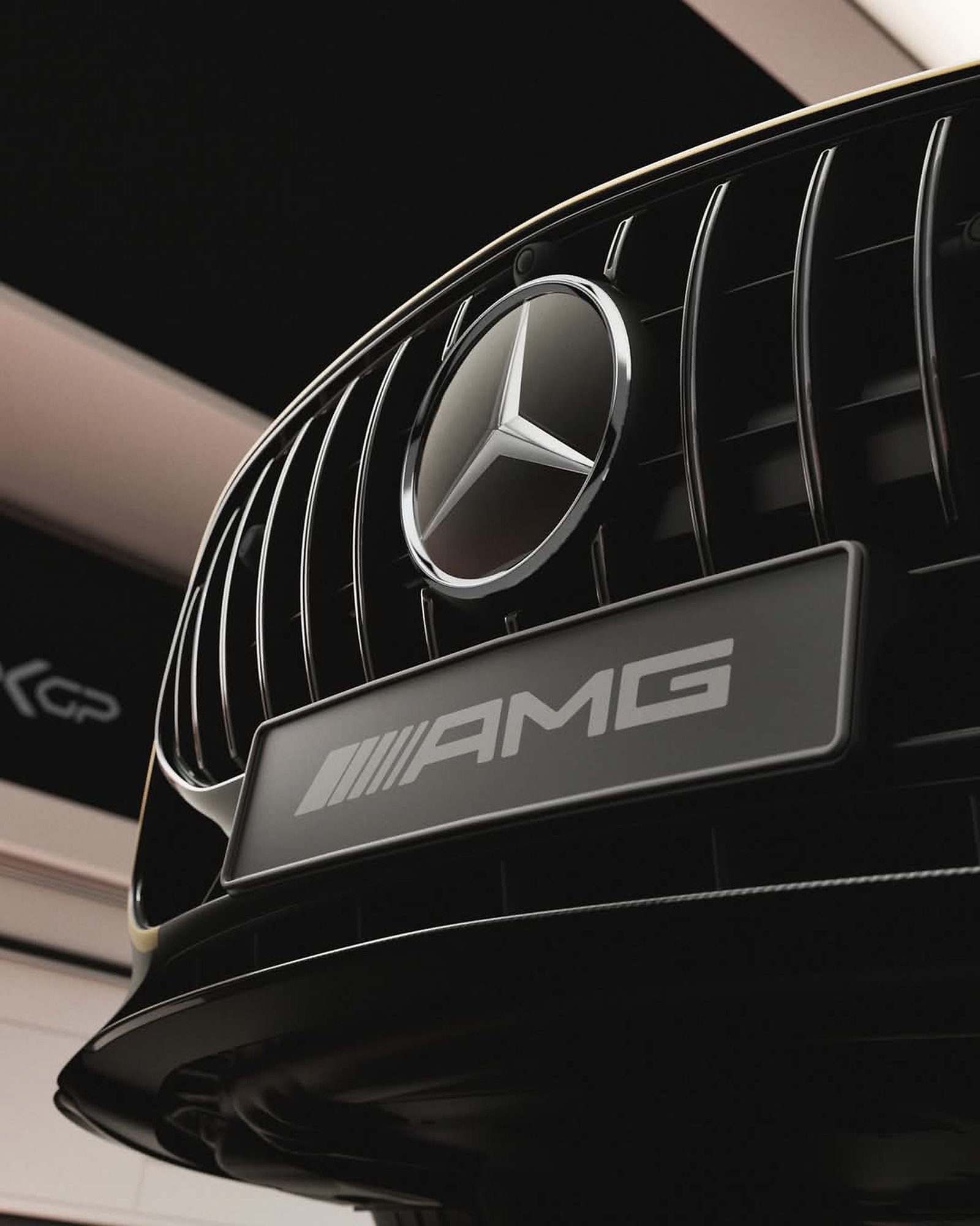 Original AMG grille and badge photograph